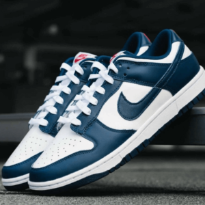 Nike Dunk Low Valerian Blue 1st Copy Shoe