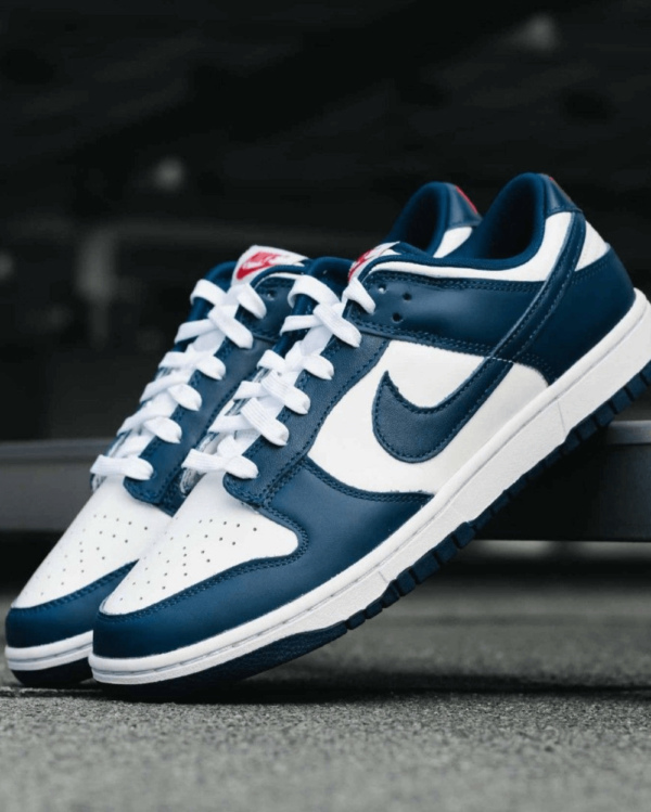 Nike Dunk Low Valerian Blue 1st Copy Shoe